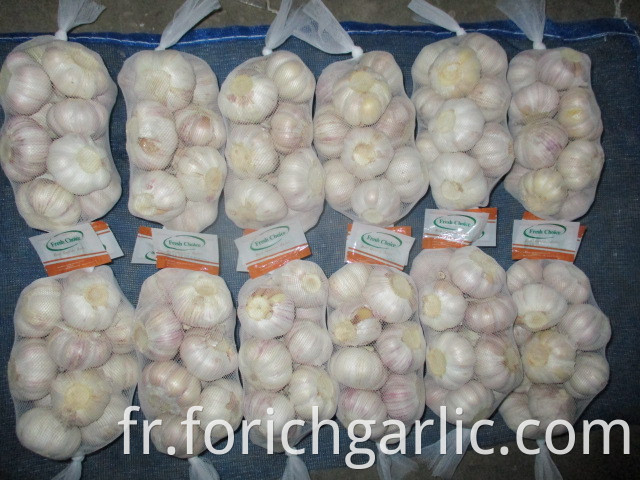 2019 Jinxiang Fresh Normal Garlic